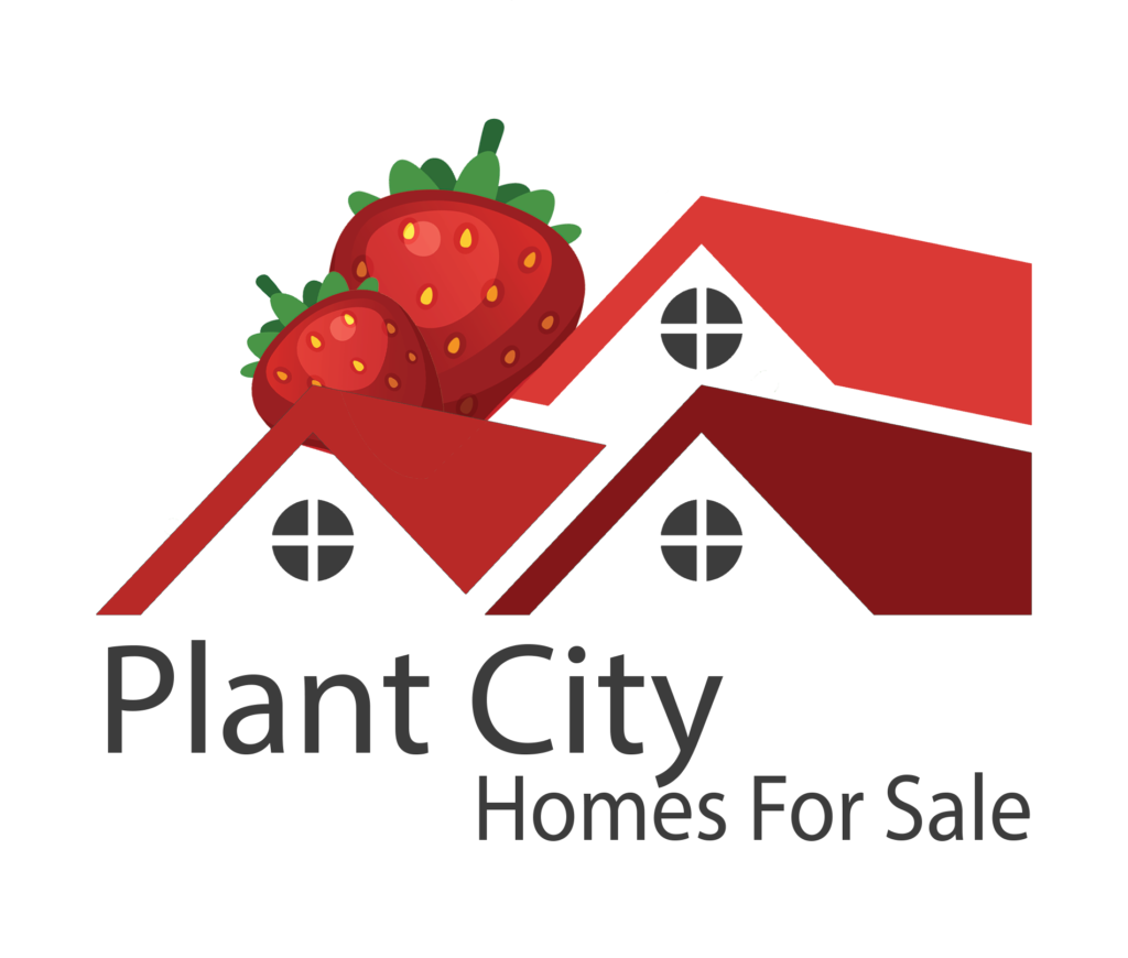 plant-city-homes-for-sale-by-blue-sun-realty